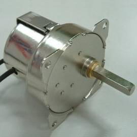 Reversible Synchronous Motor