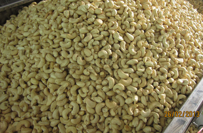 Cashew Nut Kernels