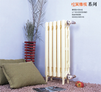 radiator ten top ranking 