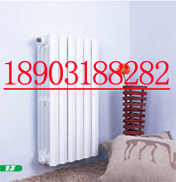 China cast iron radiator 670