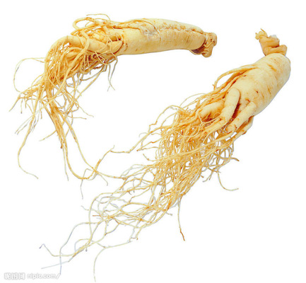 Ginseng Extract- Ginsenosides