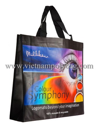 Promotional eco-friendly PP nonwoven fabric shopping bag - vietnampolybag.com