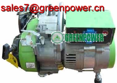 1KW portable home use/household LPG/natural gas alternator/generator