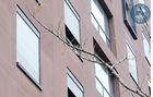 Electric Swing Window Rolling Shutter Remote Control For Ventilation