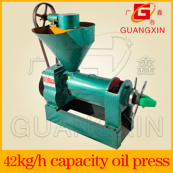 small home use palm oil press machine  