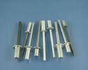 Stainless Steel Closed End Round Head Rivets With 4mm 6mm Dia