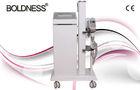 Painless Cryolipolysis Weight Loss Machine Equipment For Beauty Salon / Slimming