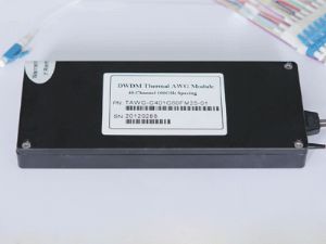 40ch 100G Thermal AWG(40ch 100G TAWG)