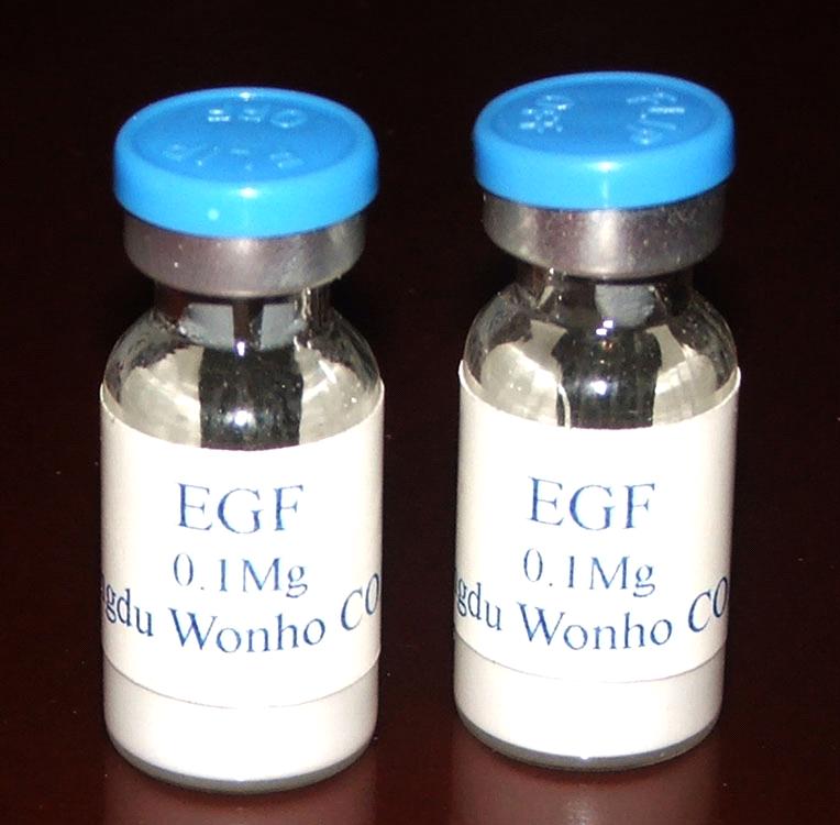 factory supply high quiality EGF 