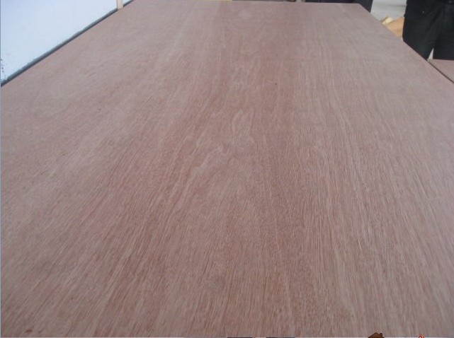 0.50mm PLB face veneer for india market