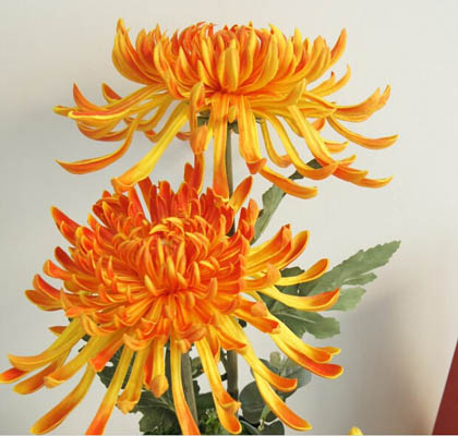 artificial flowers Spoon chrysanthemum PU