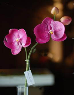 real touch flower artificial flowers PU phalaenopsis 