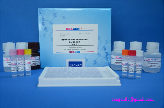 Ascorbic Acid Assay Kit