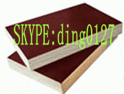 Offer film face plywood(skype:ding0127)from china