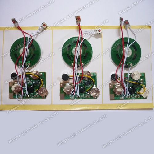 Push Button Recordable Sound Module