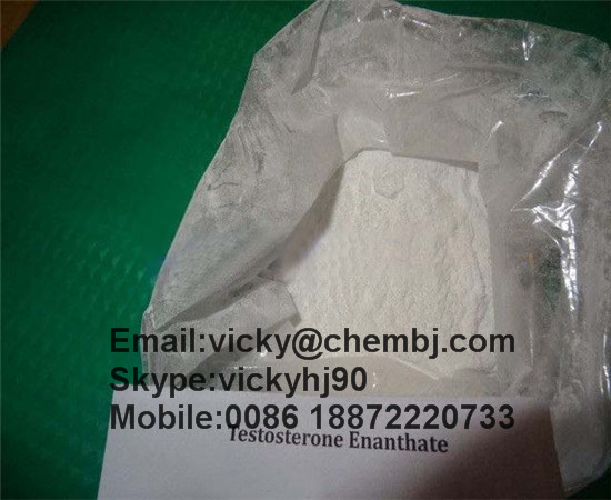 Raw Steroid Powders 98% Testosterone Enanthate/ Primoteston Depot/ Test en CAS 315-37-7 for Healthy Muscle Building and Human Growth