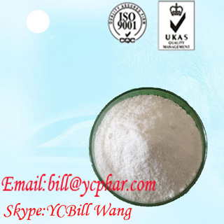 Antibiotics Alkaloid Pharmaceutical Raw Materials Chloramphenicol CAS 56-75-7