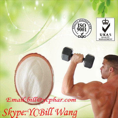 Health Testosterone Enanthate  CAS 315-37-7 Weight Loss Powders for Muscle Building