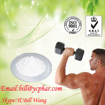 Multipurpose  Pharmaceutical 7-Keto-Dehydroepiandrosterone CAS 566-19-8