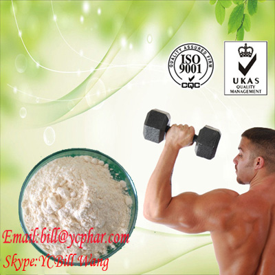 Stanozolol Winstrol 10418-03-8 Oral Raw Hormone Powder for Bodybuilding
