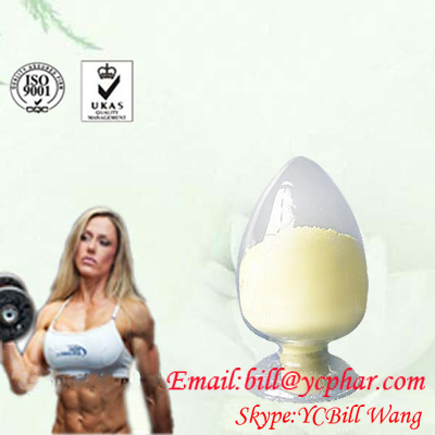 Oral Contraceptives Megestrol Acetate CAS 595-33-5 