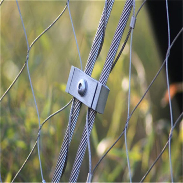 Premium Quality Stainless Steel Cable Net for Plant