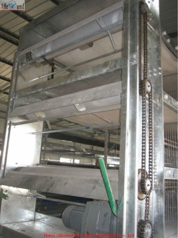 Design brolier chicken cage for poultry farm 