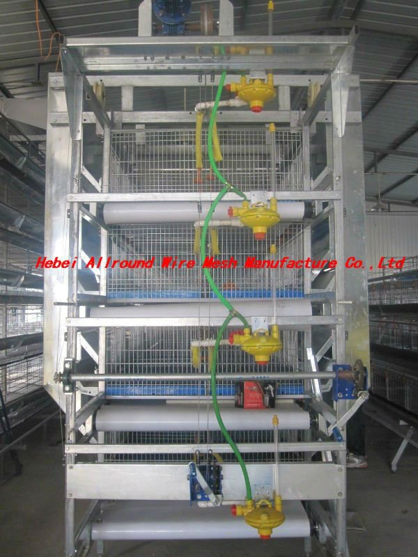 Poultry automatic feeding system 