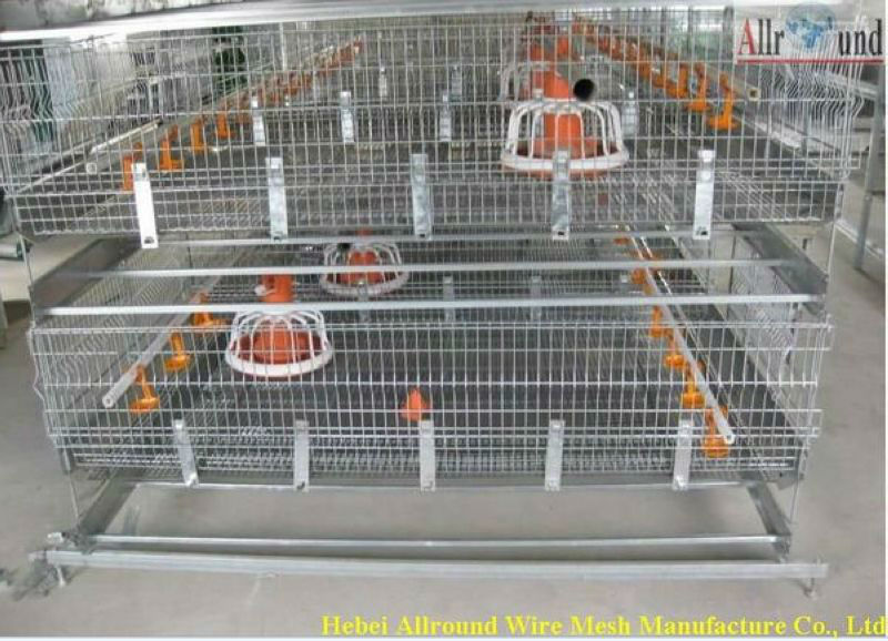 Automatic feeders for poultry 