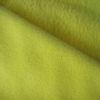 Fluorescence Polar Fleece 