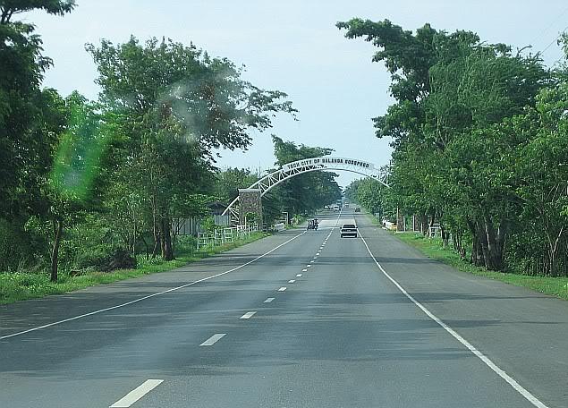 Cross-bridge structure