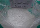 Testosterone Enanthate 315-37-7 Bodybuilding Steroid Raw Powder