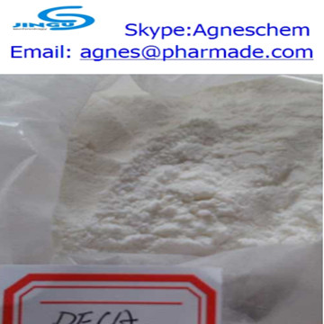 Supply Nandrolone Decanoate (DECA) raw steroid