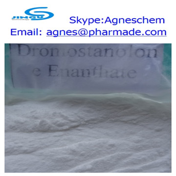 supply Drostanolone Enanthate raw steroid 