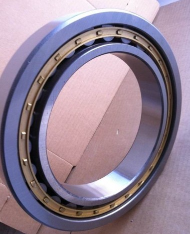 Cylindrical Roller Bearing (NU107M NJ204 RN218M NU211 NU311 NU411 NU513 NU1013 NU2213 NU2313 NN3015)