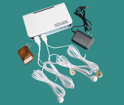 4 port anti-theft device