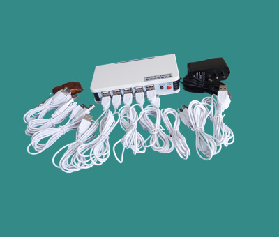 10 port anti-theft device