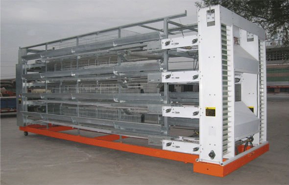 automatic egg laying cage 