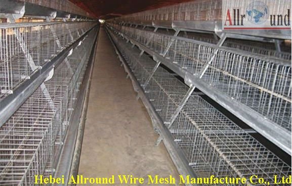 Professional broiler Battery Cage 