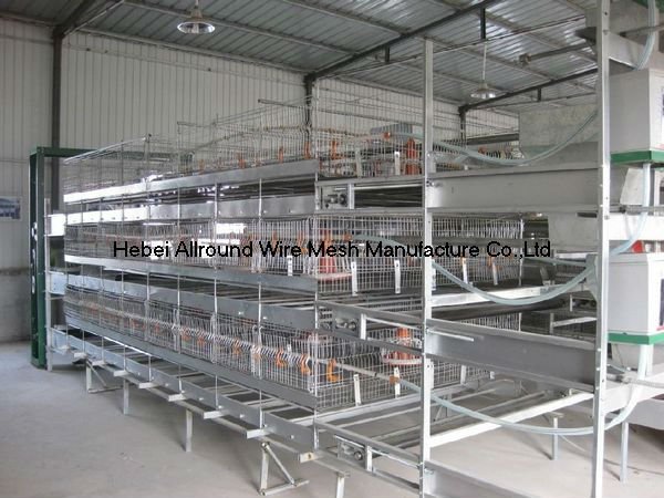 Poultry broiler cages with factory price 