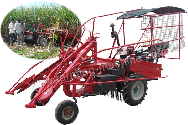 Mini Sugarcane Harvester