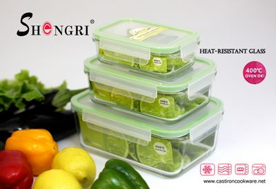 high borosilicate glass food container with lid