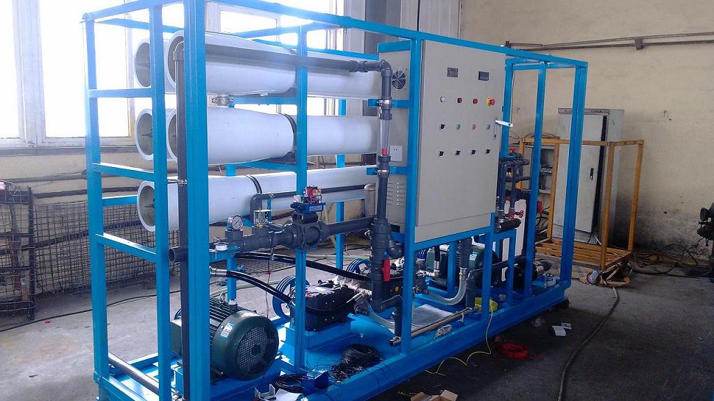 250L/H RO Plant Seawater Desalination System for Sale