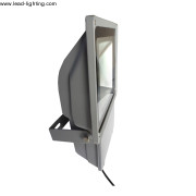 60W Cheap Price LED Flood Light (LD-FL-60W-CL1)