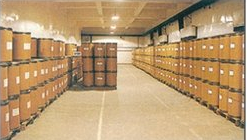 Ethyl 6-bromo-5-hydroxy-1-methyl-2-(phenylsulfanylmethyl)indole-3-carboxylate