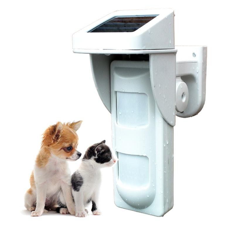 Wireless Burglar alarm detectors,Wireless Outdoor Dual- PIR Motion Detector,Wireless alarm detector,Wireless motion detector