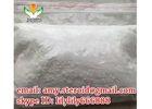 107868-30-4 Oral Antineoplastic Exemestane Aromasin Healthy For Muscle Building