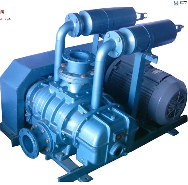 Environmental vacuum pumps