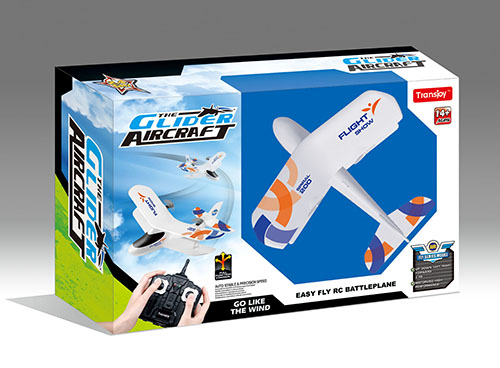Electric EPP 2CH 2.4G RC Glider Airplane