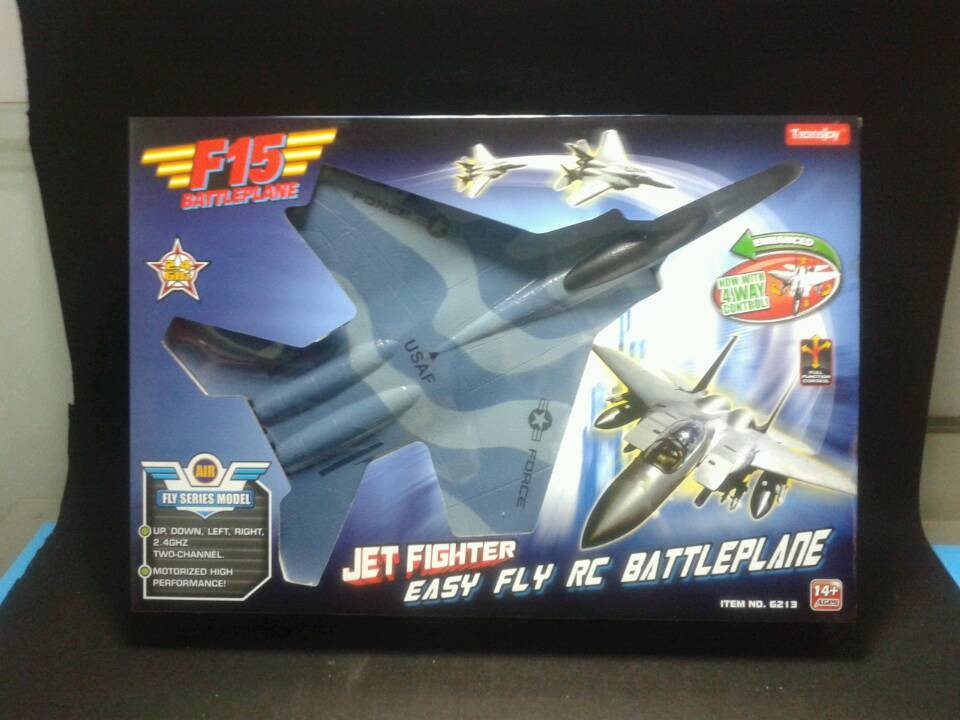 RC Hobby Electric EPP 2CH 2.4G RC Glider Airplane